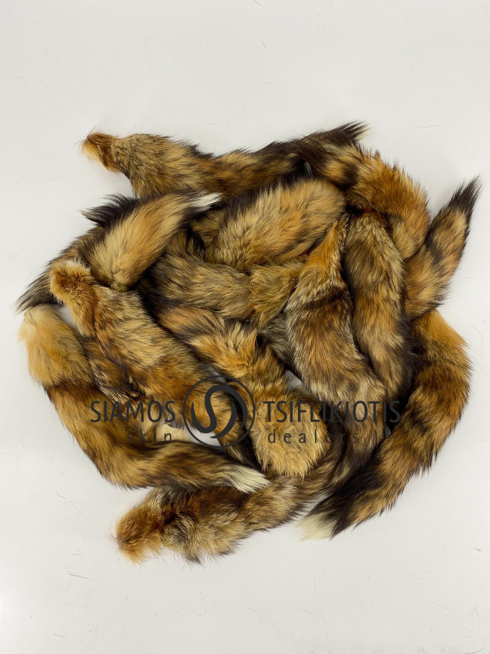 Red Fox Tails-1